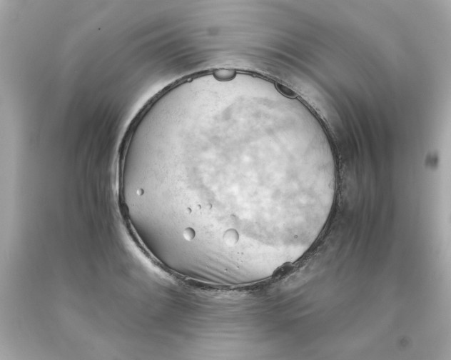 X0000091571084200709100951