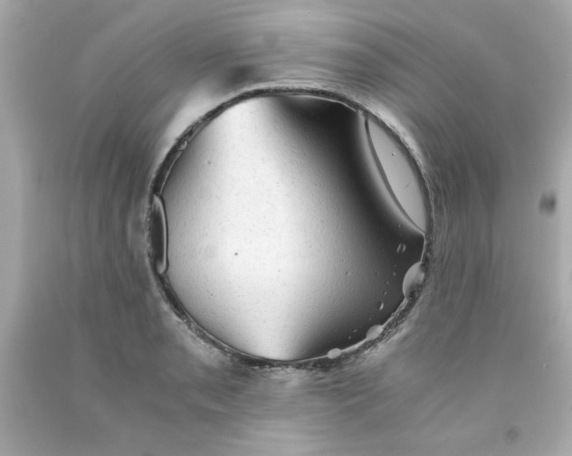 X0000091571085200709100951