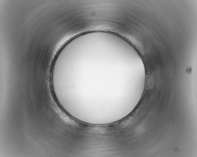 X0000091571086200709100951