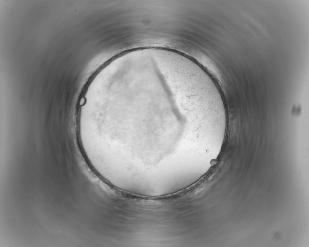 X0000091571088200709100951