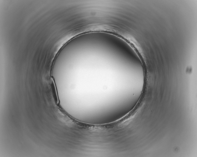 X0000091571089200709100951