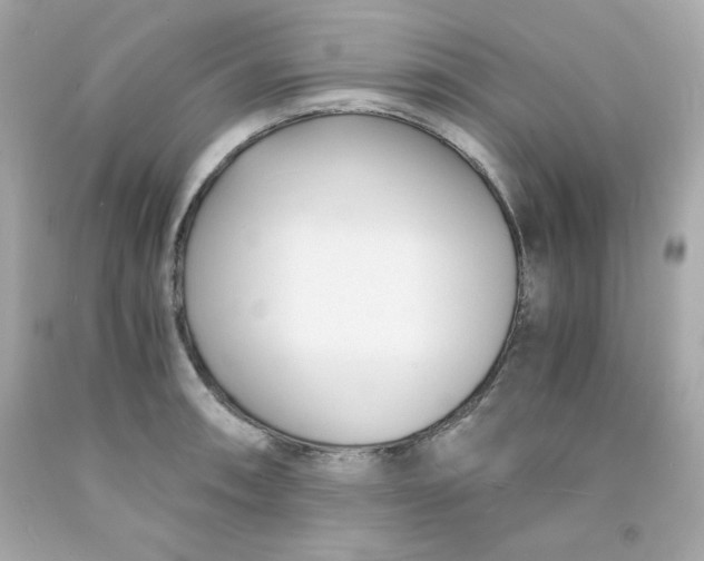 X0000091571090200709100951