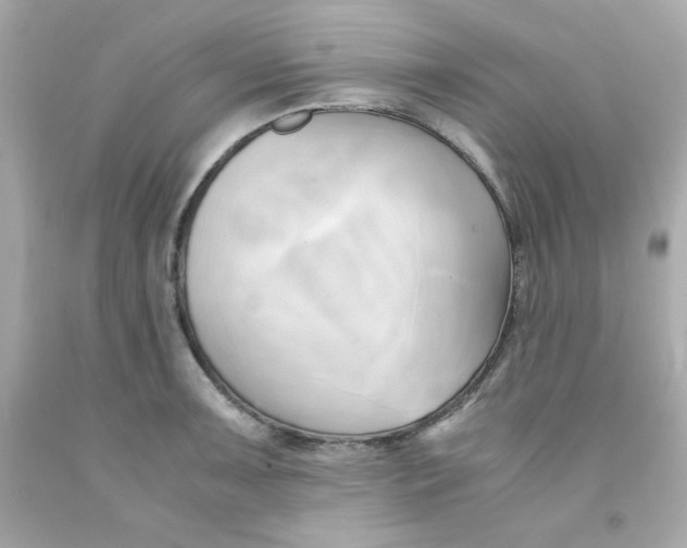 X0000091571091200709100951