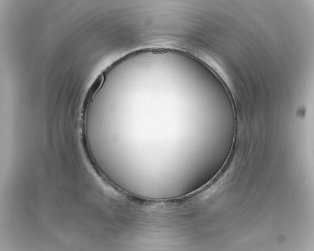 X0000091571093200709100951