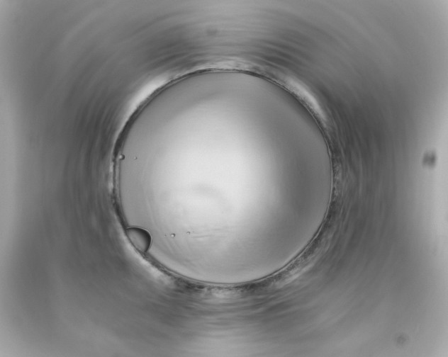 X0000091571095200709100951