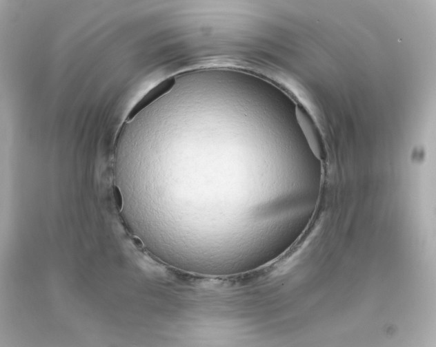 X0000091571097200709100951