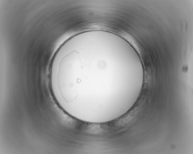 X0000091571098200709100951