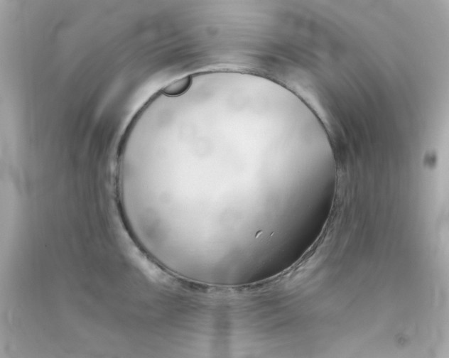 X0000091571099200709100951