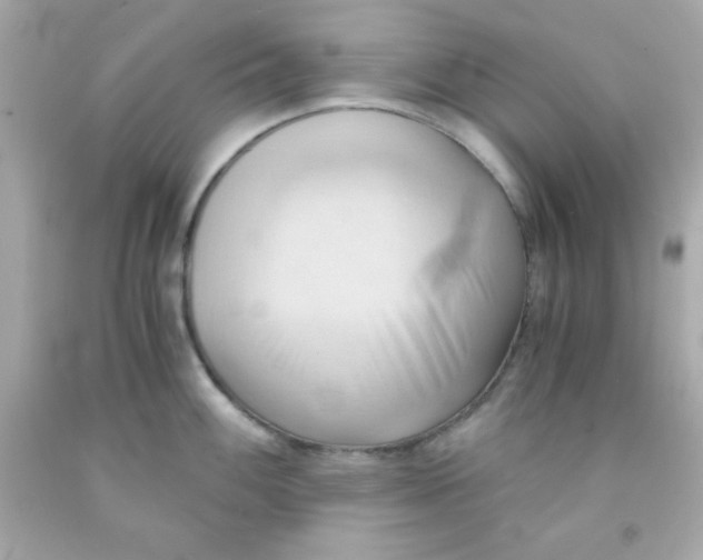 X0000091571100200709100951