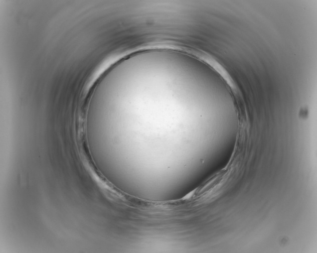 X0000091571101200709100951