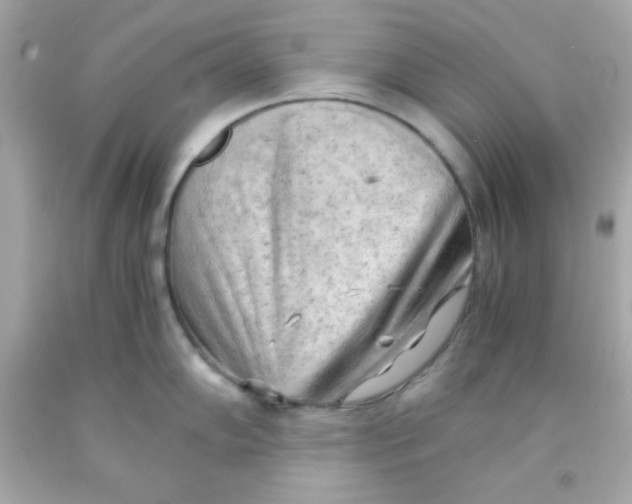 X0000091571102200709100951