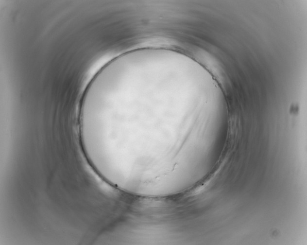 X0000091571103200709100951