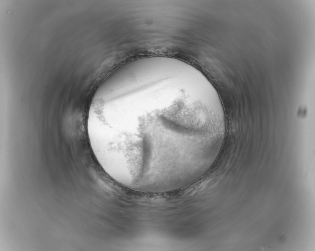 X0000091571106200709100950