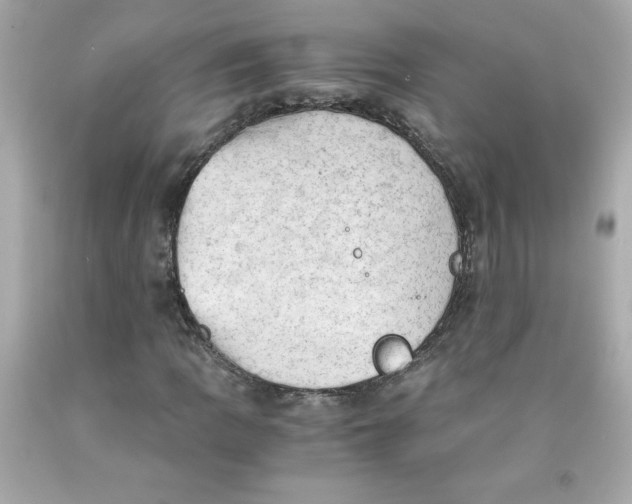 X0000091571109200709100951