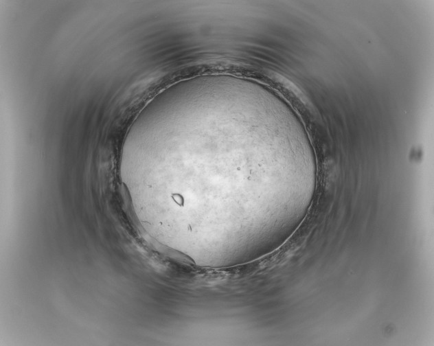 X0000091571111200709100951