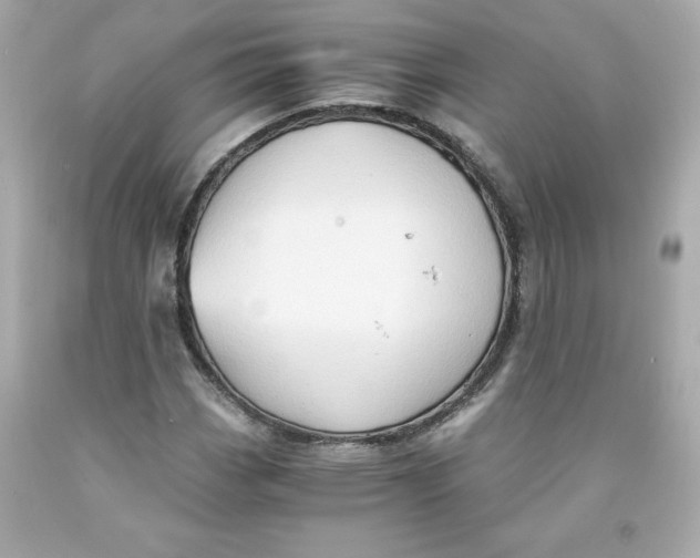 X0000091571113200709100951