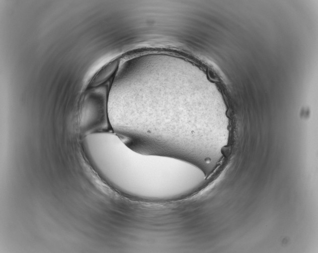 X0000091571114200709100951