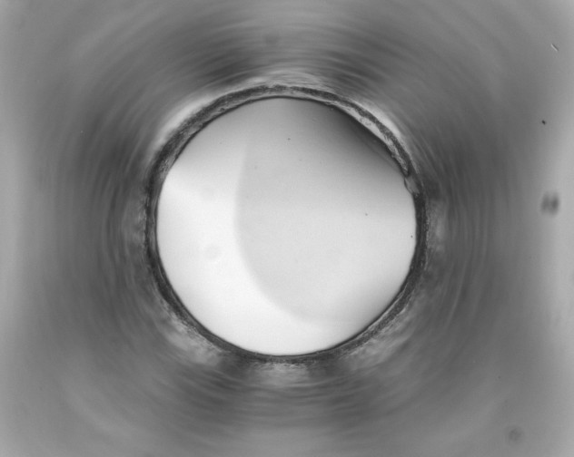 X0000091571115200709100951