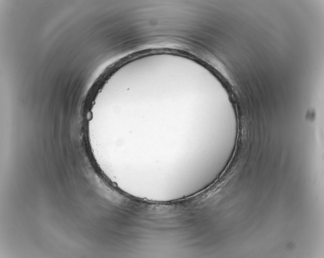 X0000091571116200709100951