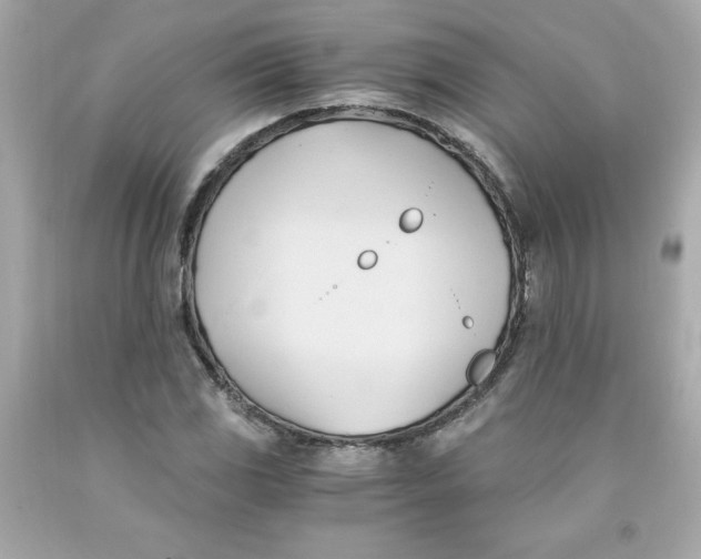 X0000091571117200709100951