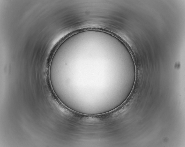 X0000091571119200709100951