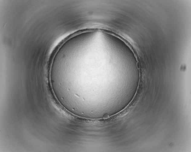 X0000091571120200709100951