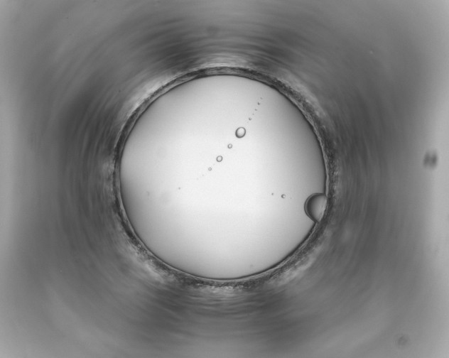 X0000091571121200709100951