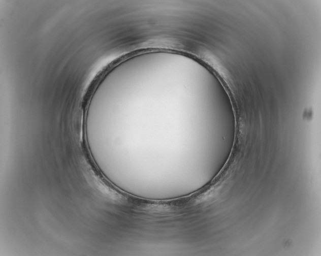 X0000091571123200709100951