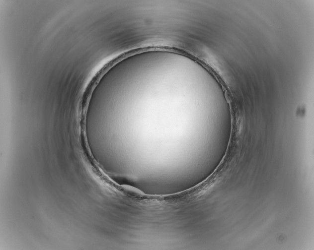 X0000091571124200709100951