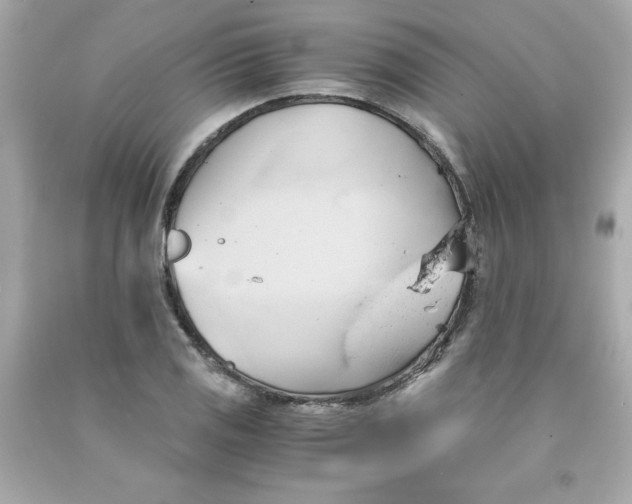 X0000091571125200709100951