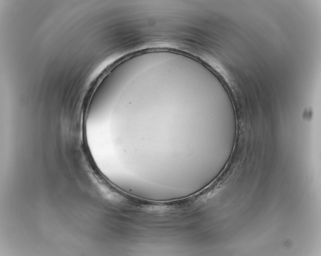 X0000091571127200709100951