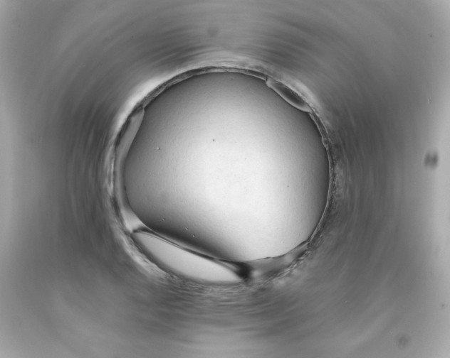 X0000091571128200709100951