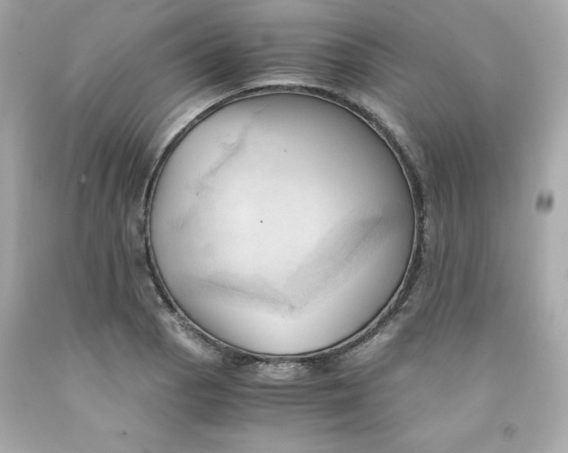 X0000091571129200709100951