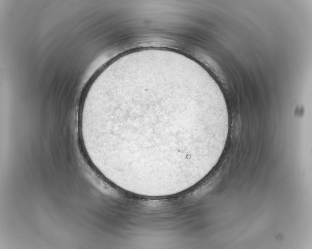 X0000091571130200709100951