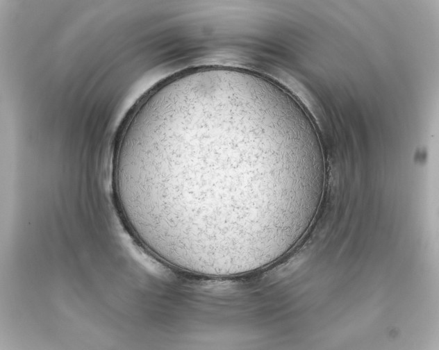 X0000091571131200709100951