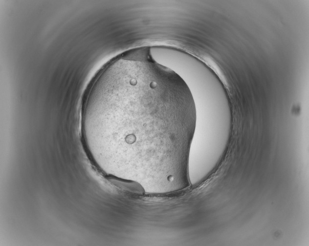 X0000091571132200709100951