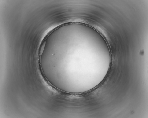 X0000091571133200709100951