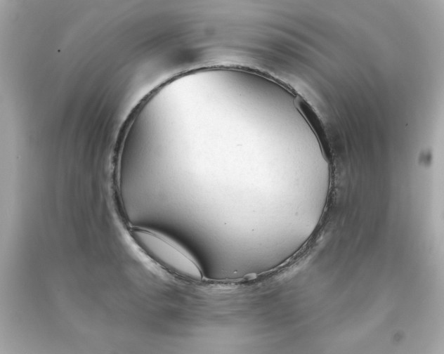 X0000091571134200709100951