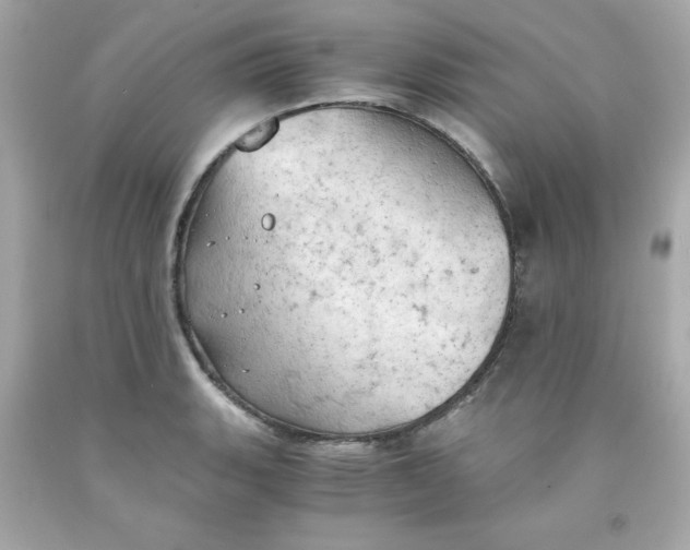 X0000091571135200709100951