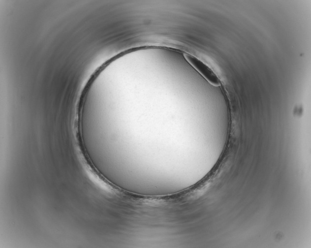 X0000091571136200709100951