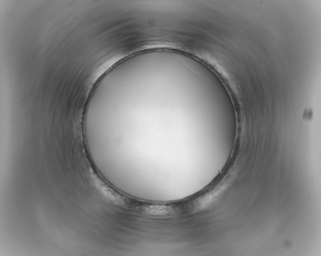 X0000091571137200709100951