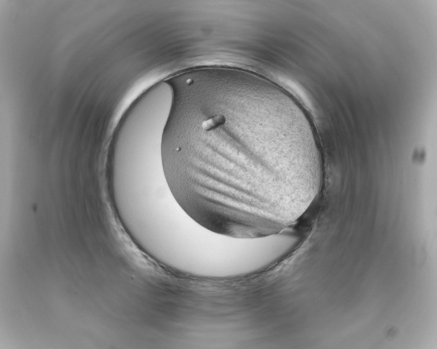 X0000091571138200709100951