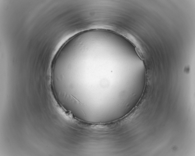 X0000091571140200709100951