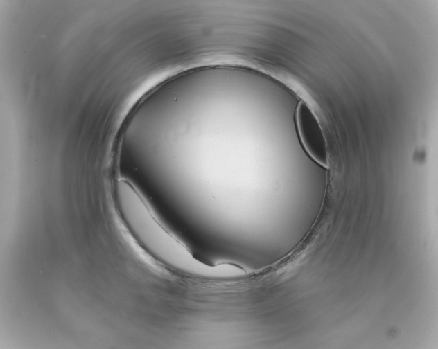 X0000091571142200709100951