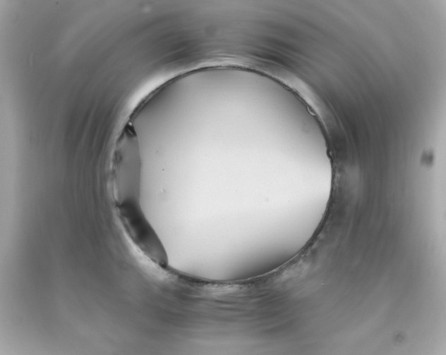 X0000091571143200709100951