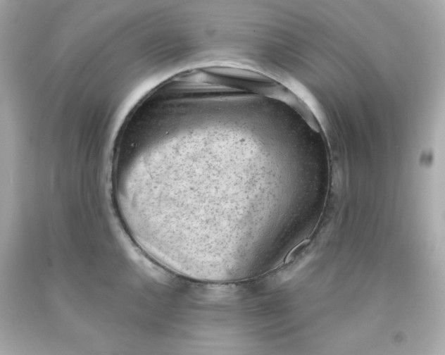 X0000091571144200709100951