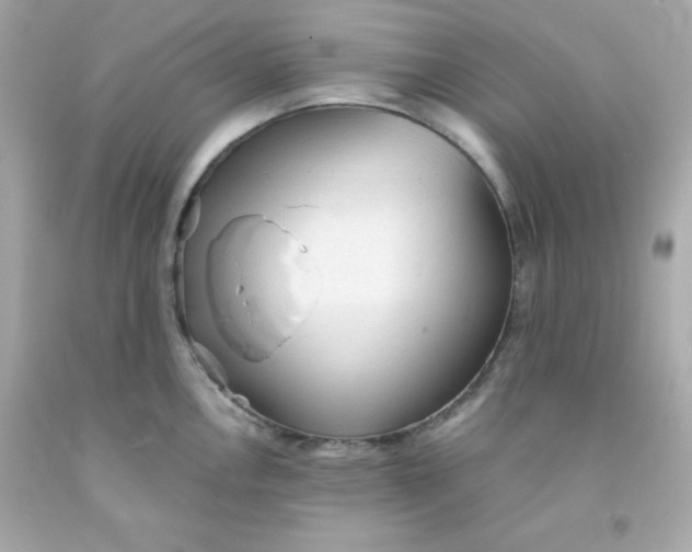 X0000091571146200709100951