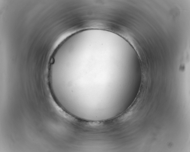 X0000091571147200709100951