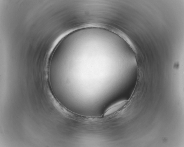 X0000091571148200709100951