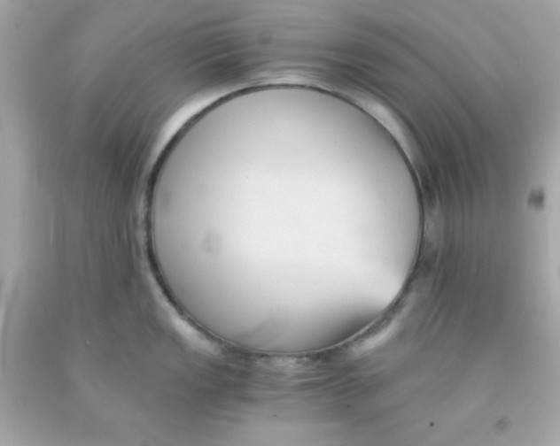 X0000091571149200709100951